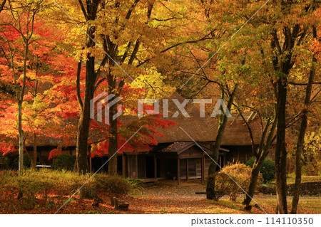 北上市岩手陸奧紅葉民俗村 北上市岩手陸奧紅葉民俗村 114110350