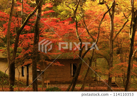 Kitakami City, Iwate Michinoku Folk Village with Autumn Leaves Kitakami City, Iwate Michinoku Folk Village with Autumn Leaves 114110353