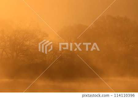 Kitakami River in the morning mist 114110396