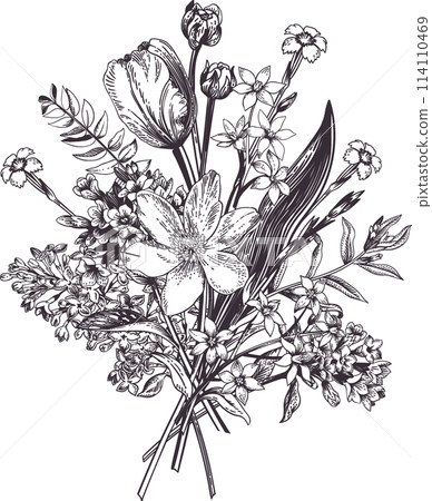 Spring bouquet. Botanical vintage illustration. Black drawing. Spring bouquet. Botanical vintage illustration. Black drawing. 114110469