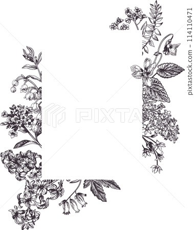 Vintage card with spring and summer garden flowers.  Graphic natural background. Black drawing. 114110471