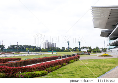 Racecourse Racecourse 114110508