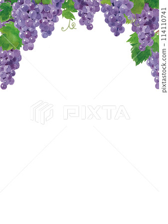 Grape frame hand-painted in watercolor Grape frame hand-painted in watercolor 114110741
