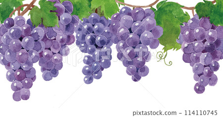 Grape frame hand-painted in watercolor Grape frame hand-painted in watercolor 114110745