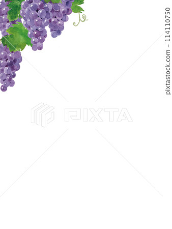 Grape frame hand-painted in watercolor 114110750