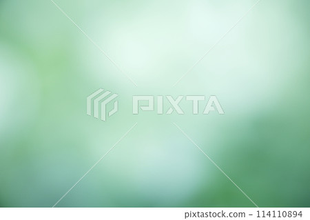 綠色漸層背景素材 114110894