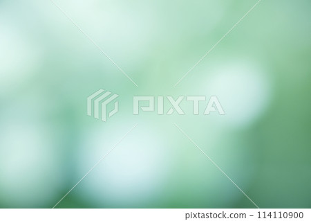 Green gradation background material 114110900