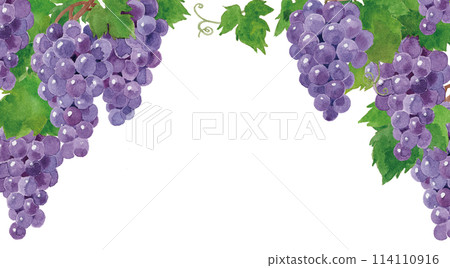 葡萄框水彩手繪 114110916