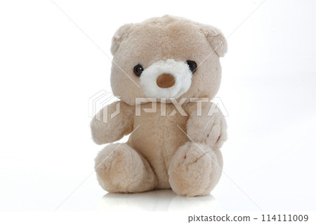 Brown Teddy Bear on white 114111009