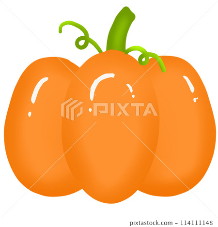 Pumpkin 114111148