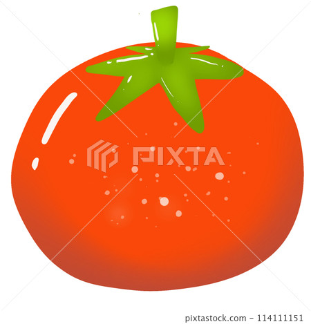 ripe tomato on white background ripe tomato on white background 114111151