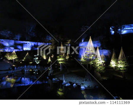 夜晚燈火通明的玉泉院丸庭園 夜晚燈火通明的玉泉院丸庭園 114111369
