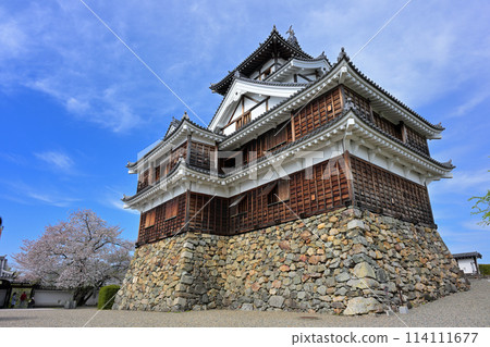 Spring at Fukuchiyama Castle (Fukuchiyama, Kyoto Prefecture) 114111677