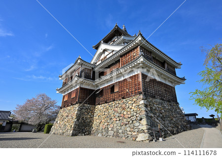 Spring at Fukuchiyama Castle (Fukuchiyama, Kyoto Prefecture) Spring at Fukuchiyama Castle (Fukuchiyama, Kyoto Prefecture) 114111678