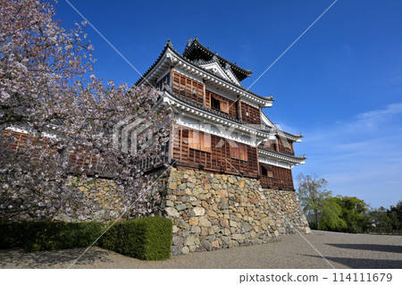 Spring at Fukuchiyama Castle (Fukuchiyama, Kyoto Prefecture) Spring at Fukuchiyama Castle (Fukuchiyama, Kyoto Prefecture) 114111679
