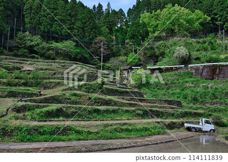 Rice terrace of Kashihara Rice terrace of Kashihara 114111839