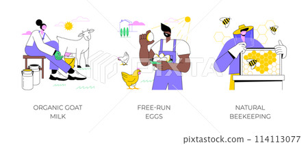 Organic food products isolated cartoon vector illustrations. 114113077