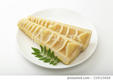 盤子上的竹筍，白色背景 114113428