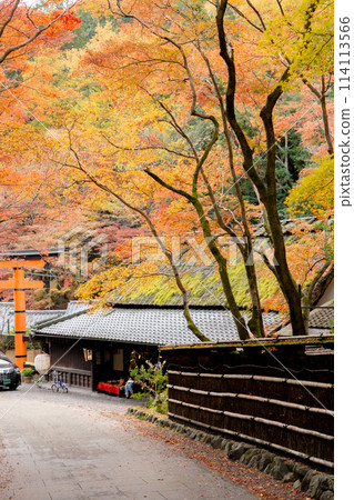 京都市右京區的愛宕街道、佐賀鳥居元千町、愛宕神社的第一個鳥居與秋葉 114113566