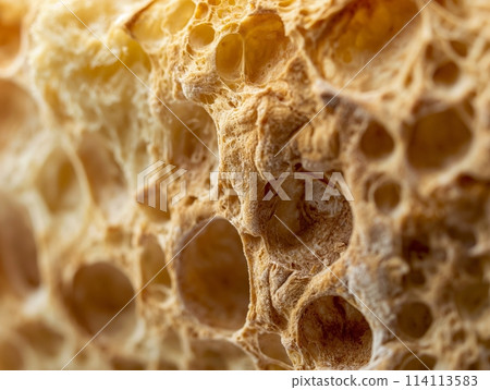 Macro view of a bread crust showing its detailed porous texture and warm colors. 114113583