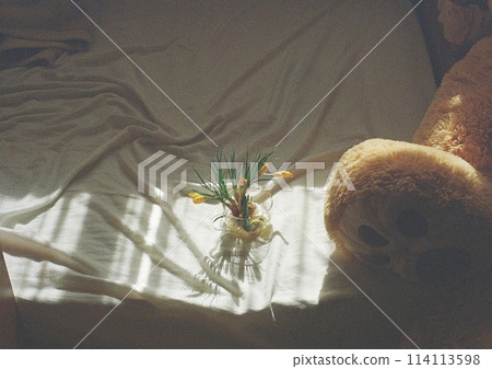 Flowers and teddy bear on the bed Flowers and teddy bear on the bed 114113598