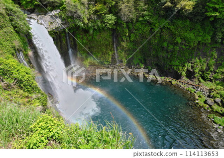 富士白線瀑布旁的春天 芝川乙穹瀑布上的彩虹 富士白線瀑布旁的春天 芝川乙穹瀑布上的彩虹 114113653