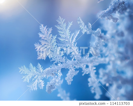 Close-up of intricate frost crystals forming natural patterns on a branch against a soft blue background. 114113703