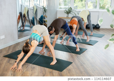 Lovers of active lifestyle on yoga mat perform doing Ardha prasarita padottanasana in gym 114114607