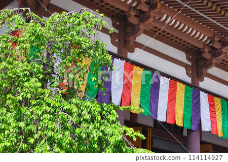 西新井大師本堂（東京都足立區） 114114927