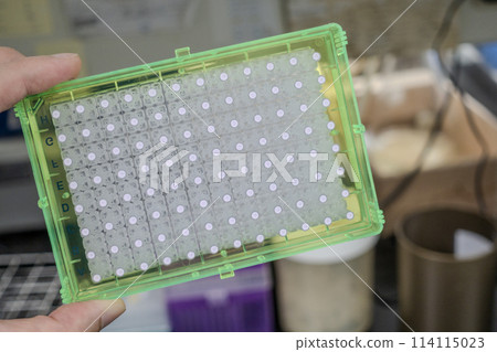 實驗 114115023