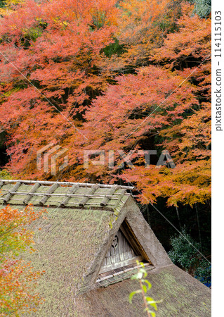京都市右京區愛宕街道、佐賀鳥居本瀨之町、秋葉（俯瞰愛宕街道） 114115103