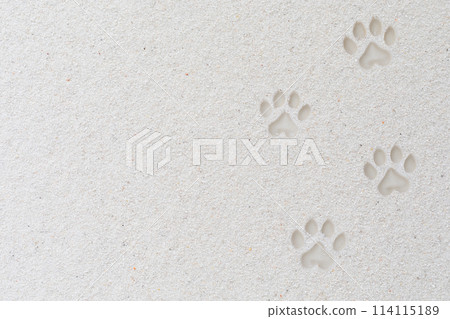 White sand and dog footprints on the beach White sand and dog footprints on the beach 114115189