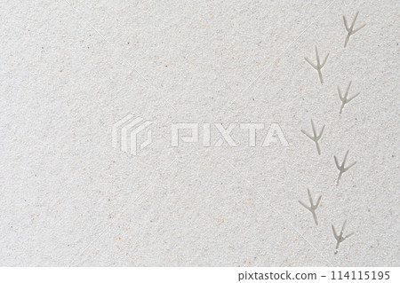 Beach white sand and bird footprints Beach white sand and bird footprints 114115195