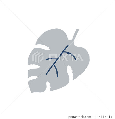 Monstera 114115214