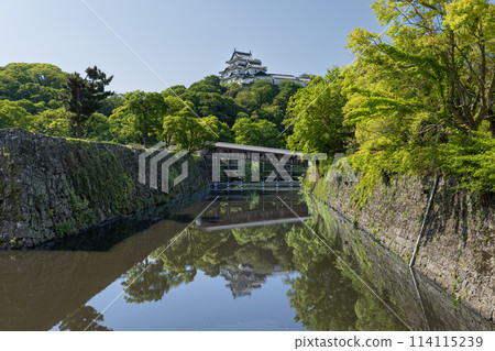 和歌山城 114115239