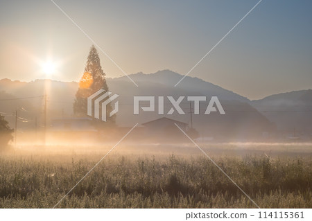 Landscape in the morning mist Landscape in the morning mist 114115361