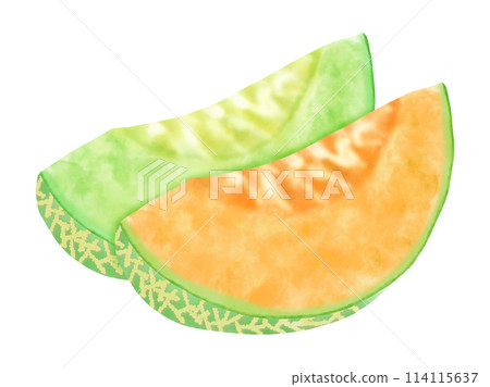 Two kinds of cut melons painted in watercolor 114115637