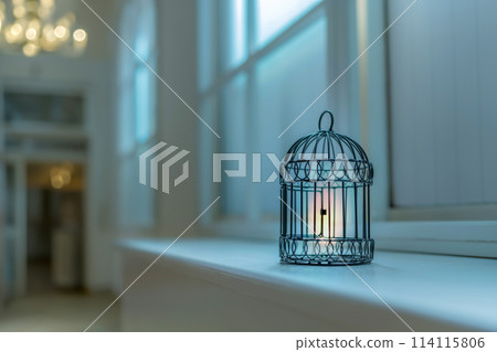 Bird cage on the window sill Bird cage on the window sill 114115806