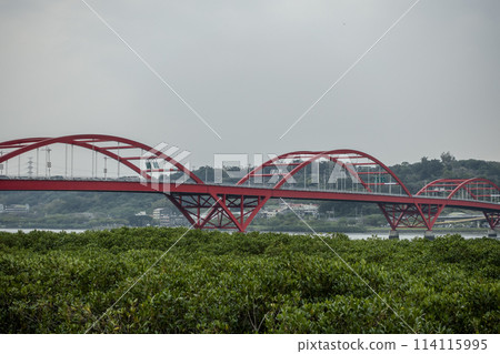 Guandu Bridge 114115995