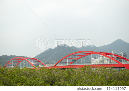 關渡大橋 關渡大橋 114115997