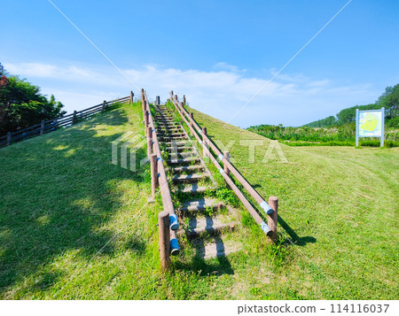 緒方富士 114116037