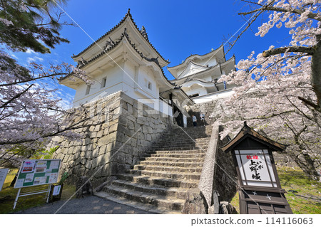 櫻花盛開的伊賀上野城（三重縣伊賀市） 114116063