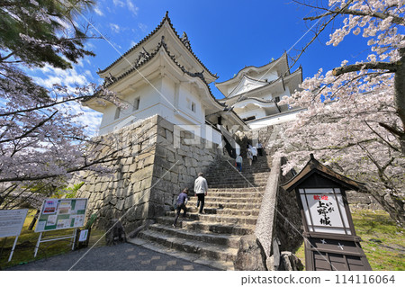 櫻花盛開的伊賀上野城（三重縣伊賀市） 114116064