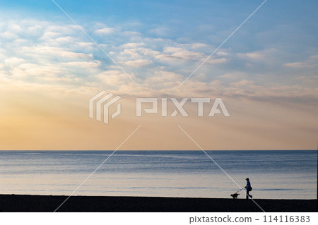 Shonan coast in the early morning, the silhouette of a person walking a dog with the calm Pacific Ocean in the background was impressive. Shonan coast in the early morning, the silhouette of a person walking a dog with the calm Pacific Ocean in the background was impressive. 114116383