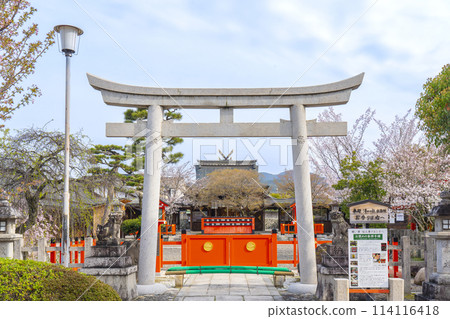 春天的京都，櫻花盛開的車織神社大鳥居門 114116418