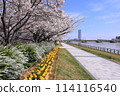 Shinano River Yasuragi Embankment Green Area 114116540