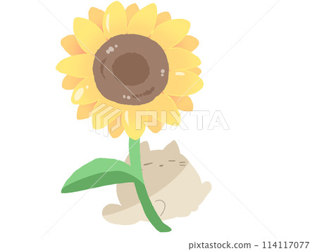 Sunflower Cat in Sunny Spot 114117077