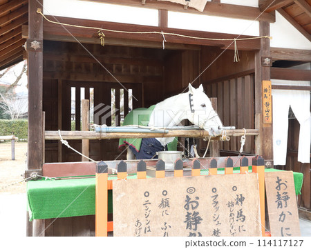 下鴨神社 加茂水神社 京都 114117127