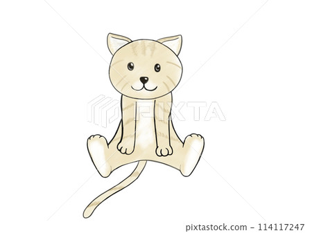 Cat  114117247