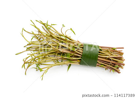 Water convolvulus or water spinach on white background. Water convolvulus or water spinach on white background. 114117389